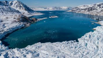 How retreating glaciers spawn new ecosystems