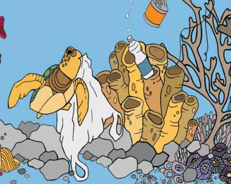 Cover image of Busting the myths about ocean plastic