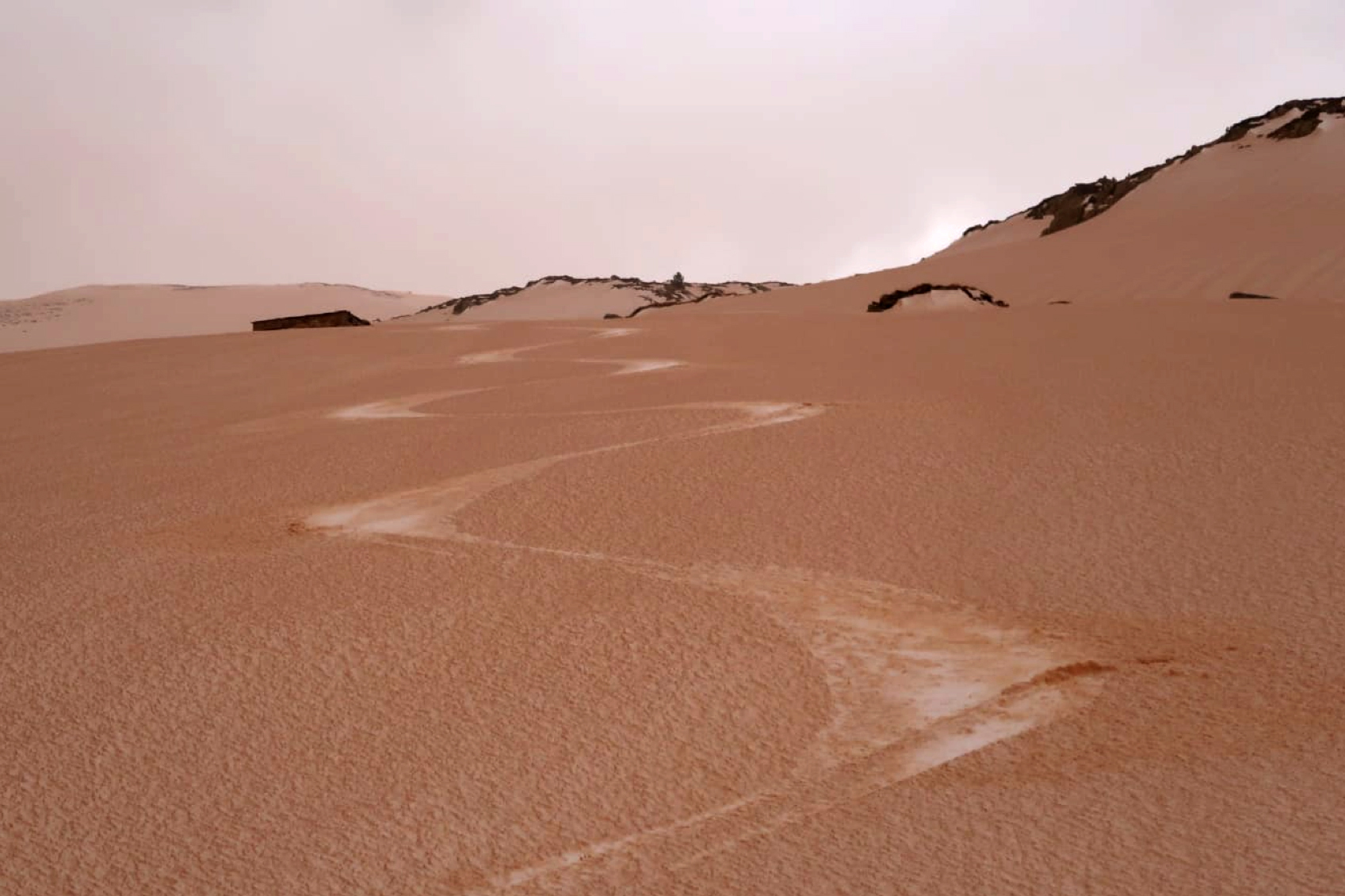 Quentin Libois/Orange snow in the Pyrenees, after the Saharan dust deposition events in February 2021