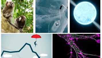 Cover image of ERC Synergy Grants 2022 - project highlights